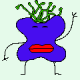 domp4