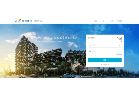 碧桂园地产BIP