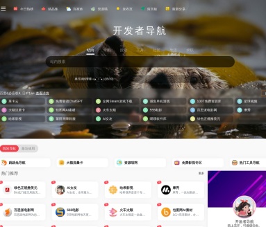 开发者导航