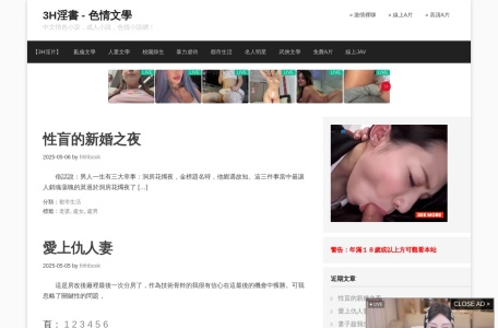 3H淫書