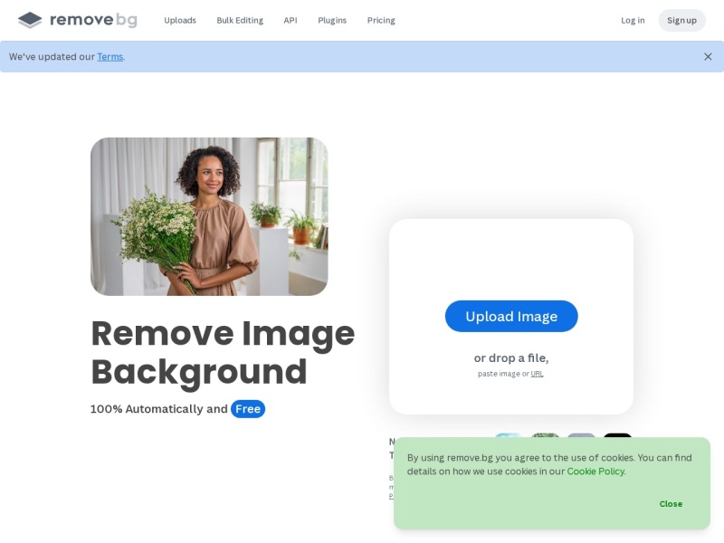 Remove Background from Image for Free – remove.bg