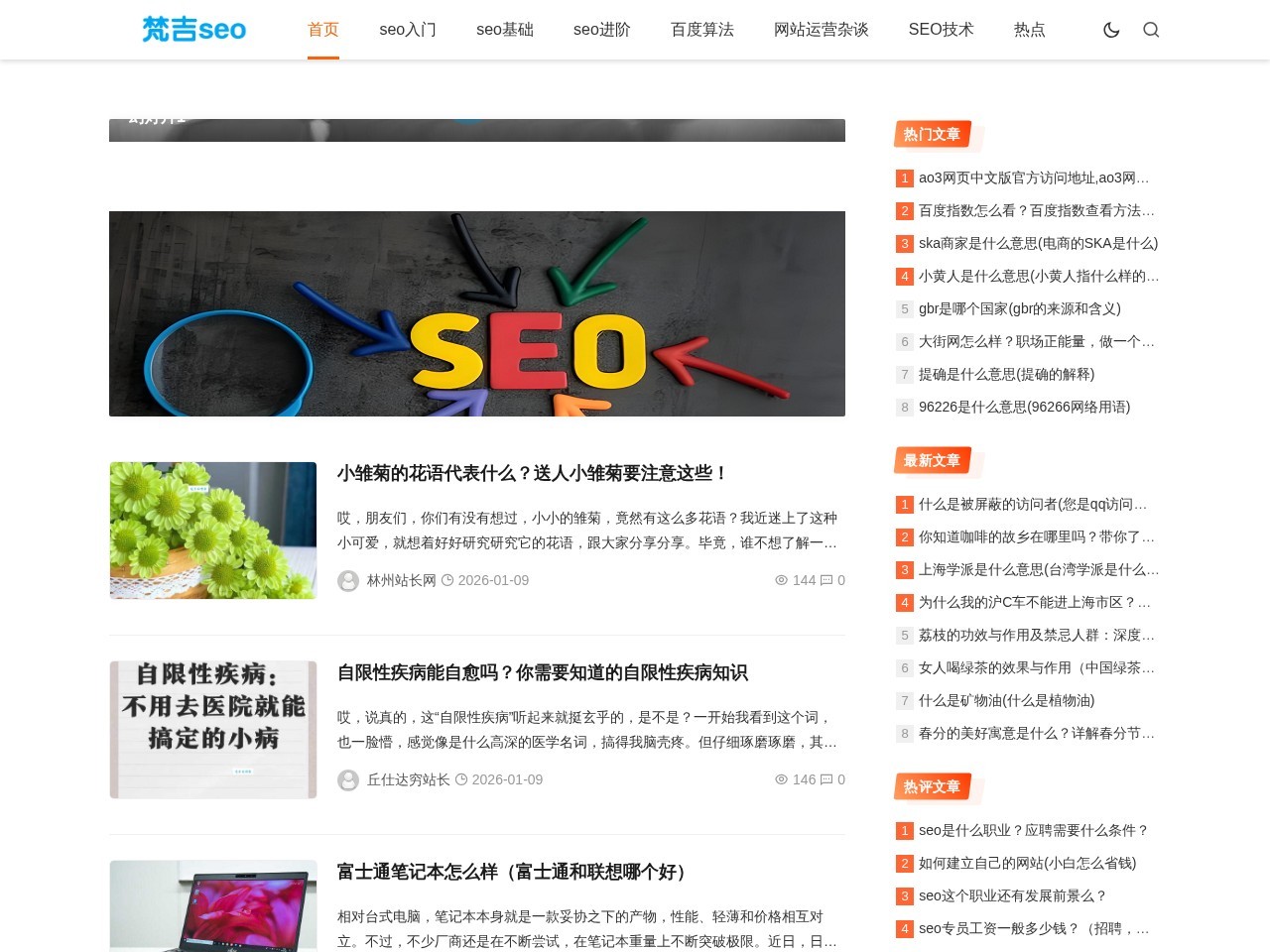 seo基础知识_新手零基础学会网站SEO排名优化_百度云入门视频教程_梵吉seo