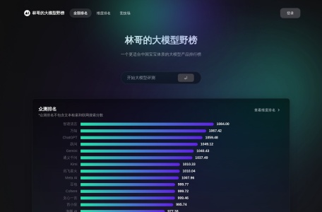 林哥的大模型野榜