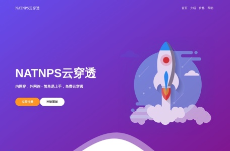 NPS云穿透