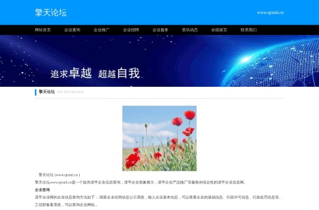 擎天论坛