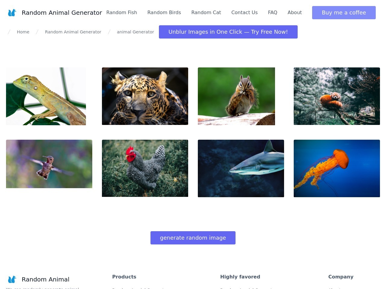 random animal generator官网 – 一个有趣而神奇的动物图片生成器