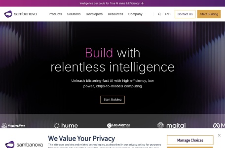SambaNova