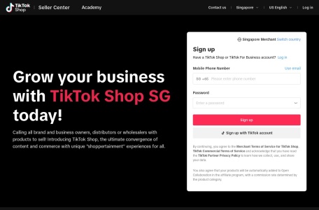 Tiktok新加坡小店