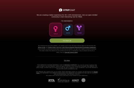 StripChat Spy Shows