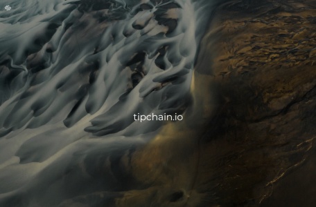 Top Intellectual Property Chain(TIP)