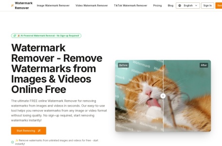 watermark remover video