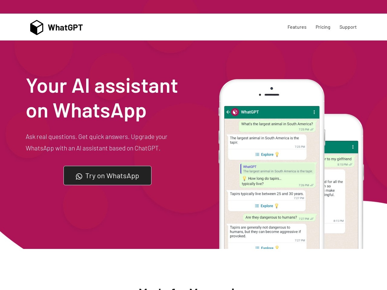 WhatGPT官网 – WhatsApp上的AI助手