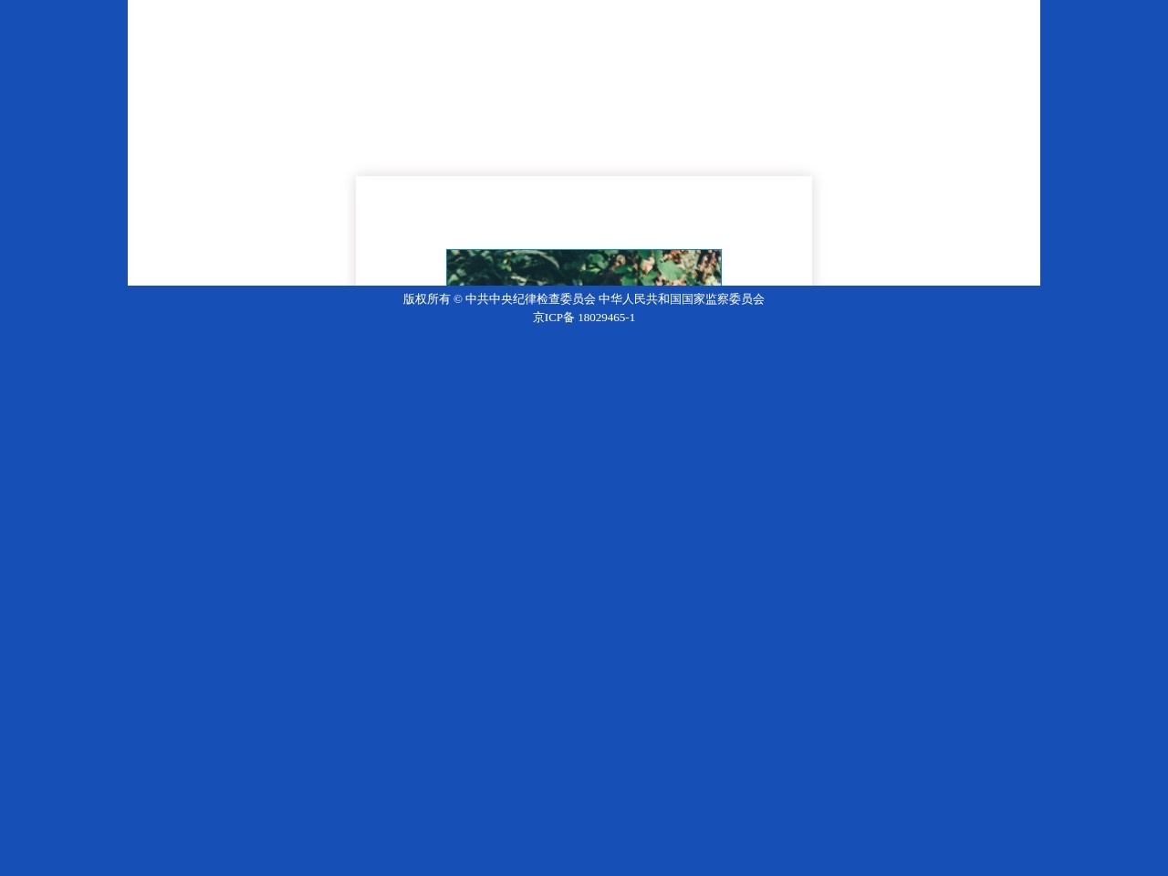 中央纪委国家监委举报网站