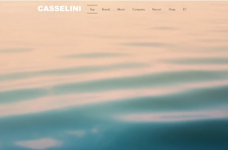 CASSELINI官网