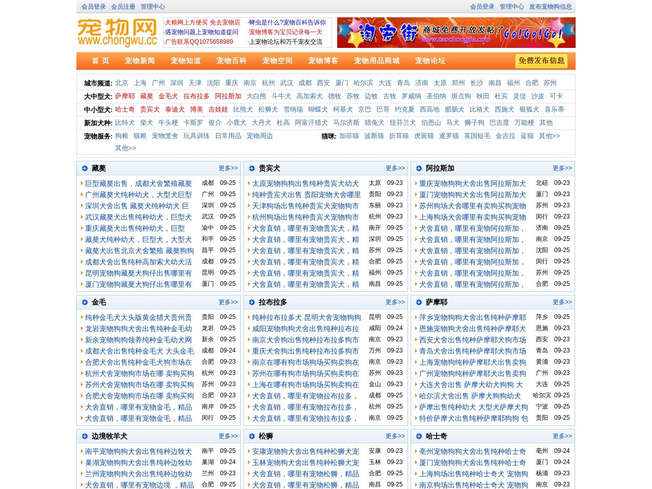 宠物网