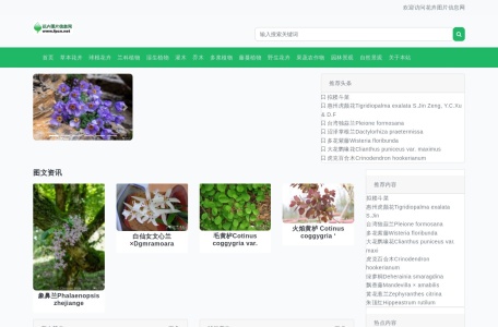 花卉图片网