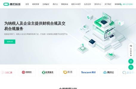 高灯科技 国内领先的财税科技公司