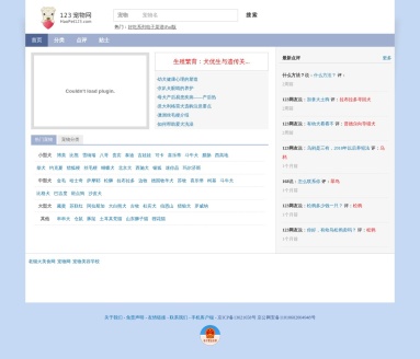 123宠物网