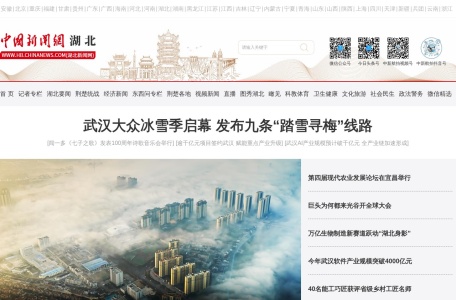 中新网湖北新闻网