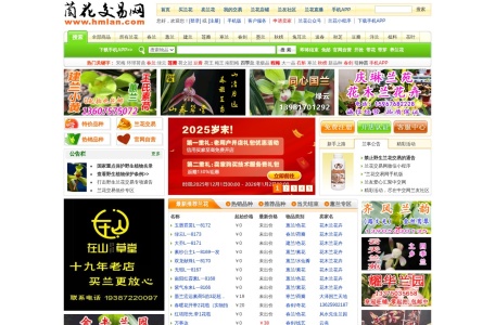 中国兰花交易网