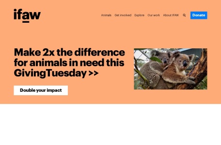 国际爱护动物基金会