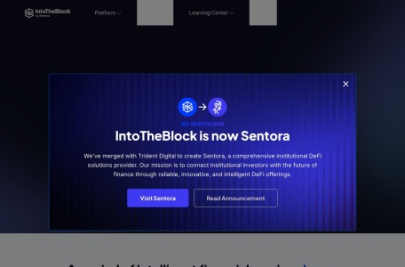 IntoTheBlock官网 – AI驱动的加密市场智能平台