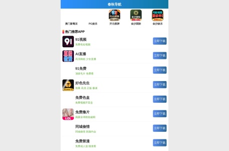 黑米影院VIP解析系统