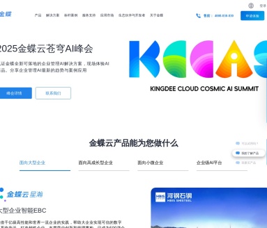 金蝶软件