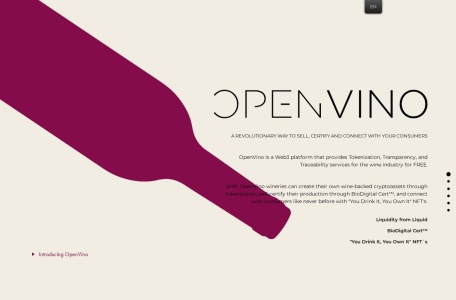 OpenVino