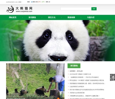 熊猫网