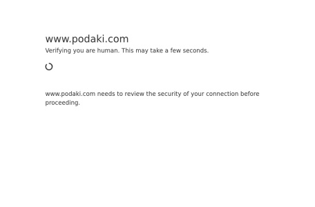 Podaki AI Backend Code Generator翻译站点