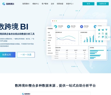 数跨境BI