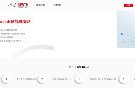 TK专用网络节点-猎豹TK