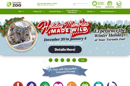 多伦多动物园官网