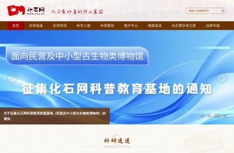 化石网