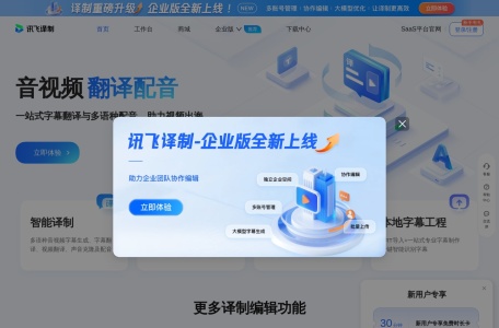 讯飞译制