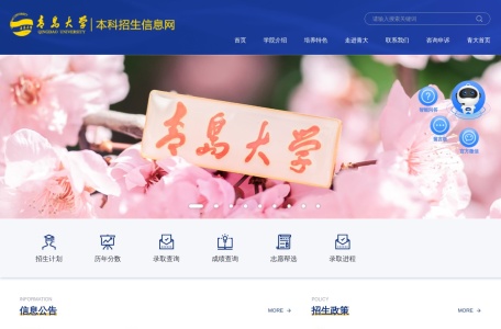 青岛大学 招生网